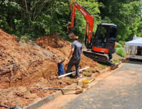 image description not provided by submitter