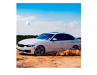 image description not provided by submitter