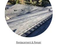 image description not provided by submitter