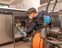 image description not provided by submitter