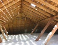 image description not provided by submitter