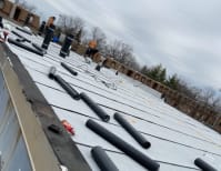 image description not provided by submitter