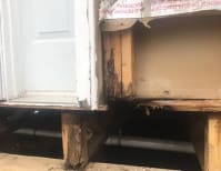 image description not provided by submitter