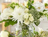 image description not provided by submitter