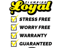 image description not provided by submitter