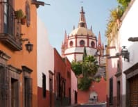 image description not provided by submitter