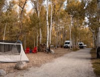 image description not provided by submitter