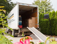 image description not provided by submitter