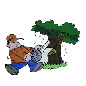 Tree Service near Pahrump NV Better Business Bureau. Start with