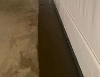 image description not provided by submitter