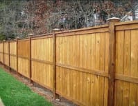 image description not provided by submitter