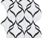 image description not provided by submitter