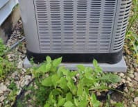 image description not provided by submitter