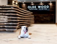 image description not provided by submitter