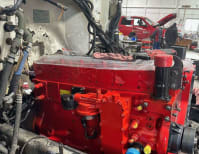 image description not provided by submitter