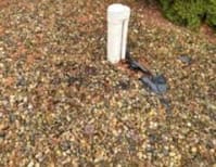 image description not provided by submitter