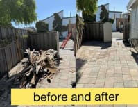 image description not provided by submitter