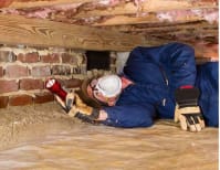 image description not provided by submitter