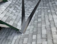 image description not provided by submitter