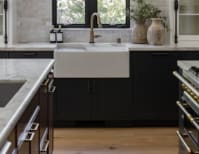 image description not provided by submitter