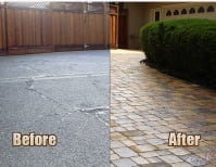 image description not provided by submitter