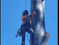 image description not provided by submitter