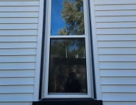 image description not provided by submitter