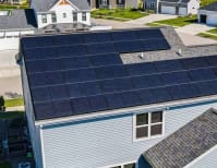 image description not provided by submitter