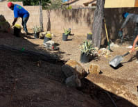 image description not provided by submitter