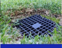 image description not provided by submitter