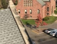 image description not provided by submitter