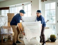 image description not provided by submitter