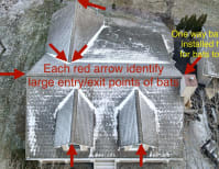 image description not provided by submitter