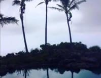 image description not provided by submitter