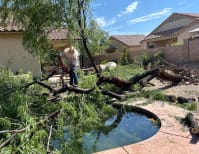 image description not provided by submitter