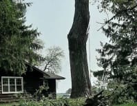 image description not provided by submitter