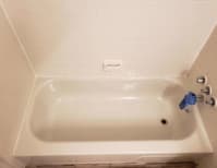 image description not provided by submitter