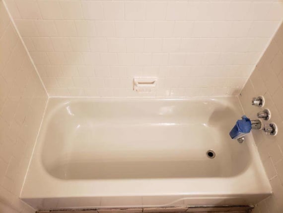 image description not provided by submitter