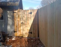 image description not provided by submitter