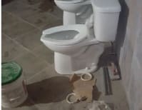 image description not provided by submitter