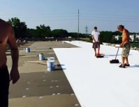 image description not provided by submitter