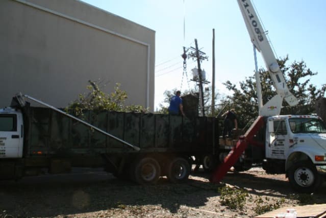 image description not provided by submitter