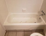 image description not provided by submitter