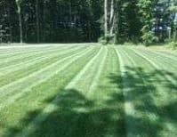 image description not provided by submitter