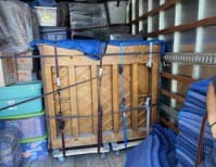 image description not provided by submitter