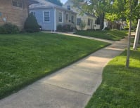 image description not provided by submitter