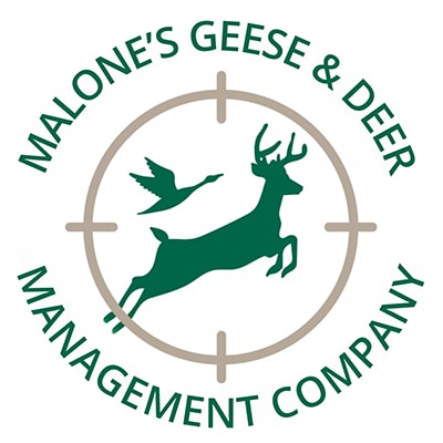 Malone S Geese Deer Management Company Better Business Bureau Profile   Ea641642 63d5 4a17 B9bc F2cbc50617ce 