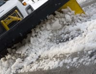 image description not provided by submitter