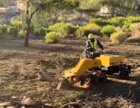 image description not provided by submitter