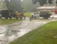 image description not provided by submitter